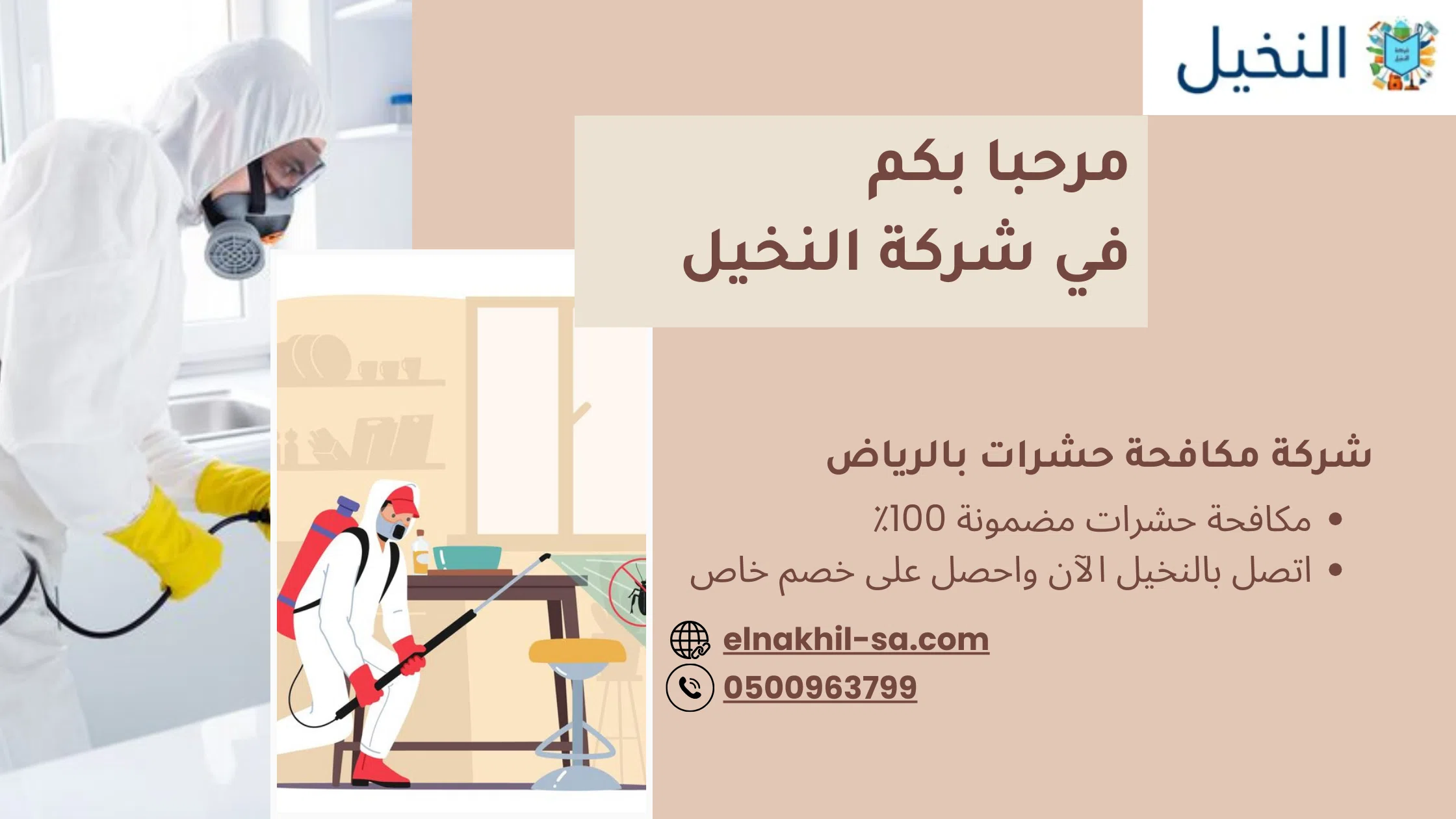 شركة مكافحة حشرات بالرياض النخيل